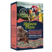 Nature Plan Delicious Serisi Anasonlu Kum 250 Gr