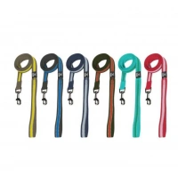 Nunbell Köpek Soft Gezdirme 2cm