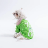 Pawstar Yeşil YourSelf Love Sweat