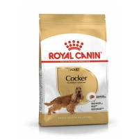 Royal Canin Cocker Özel Irk Yetişkin Köpek Maması 3 kg