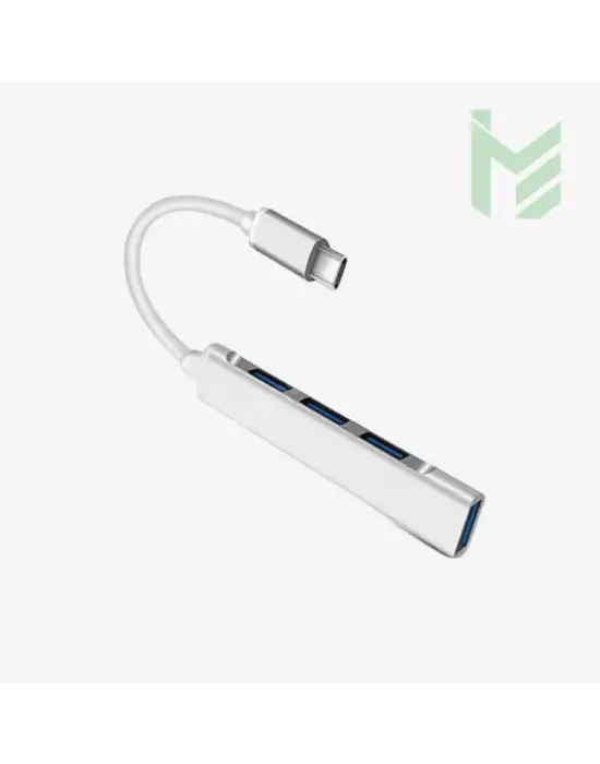 4 in 1 Type C Girişli Dönüştürücü