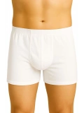 Seraviax Beyaz MI Emay 6810 Arjantin Erkek Boxer
