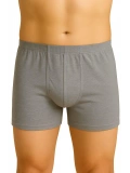 Seraviax Gri MI Emay 6810 Arjantin Erkek Boxer