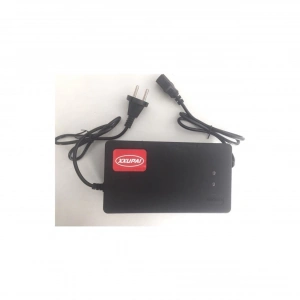 60V 20AH XXUPAİ Elektrikli Bisiklet Şarj Aleti