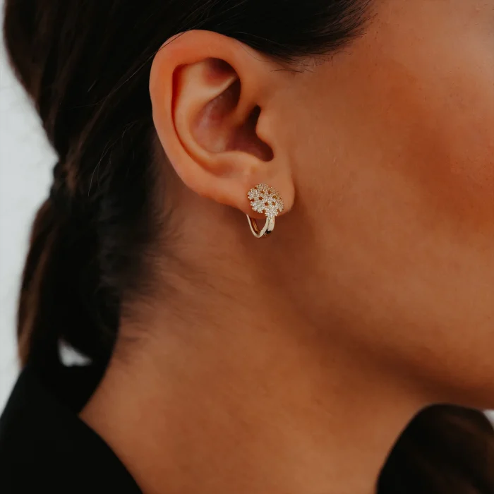 Ful Taşlı Kar Tanesi Altın Küpe AAKPE058