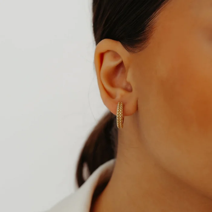 İki Sıralı Top Altın Küpe AAKPE031