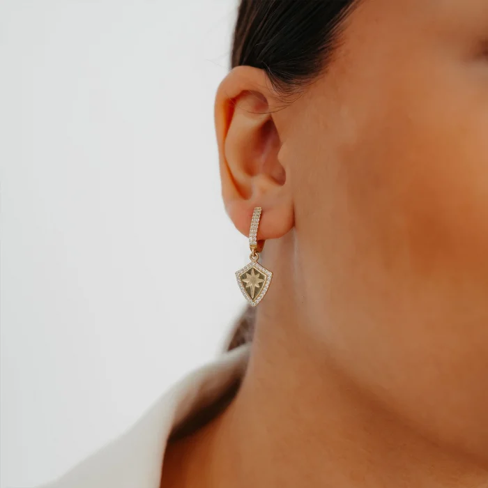 Kutup Yıldızı Ve Taşlı Sallantılı Altın Küpe AAKPE076