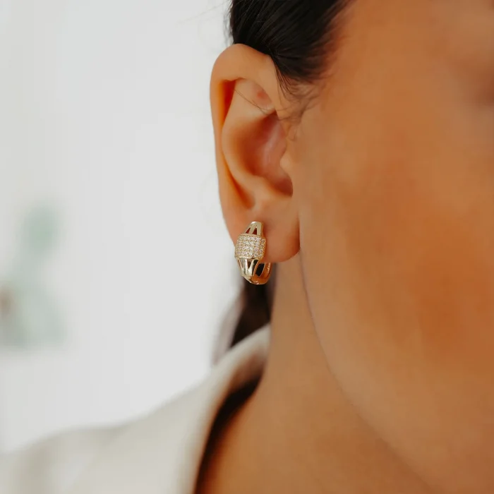 Taş Detay Tasarım Altın Küpe AAKPE042