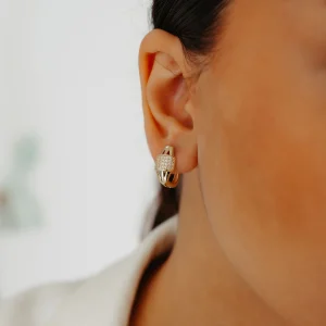 Taş Detay Tasarım Altın Küpe AAKPE042