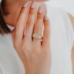 Taşlı Sekizgen Motifli Şövalye Altın Yüzük AAYZK0128