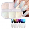 Nail Art Tırnak Süsleme İnci Tozu 6lı Set Ayna Tozu