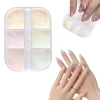 Nail Art Tırnak Süsleme İnci Tozu 6lı Set Ayna Tozu
