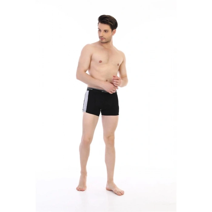 Hubrendy Beru Çift Kaplan 850 Biyeli Likralı Erkek  Boxer