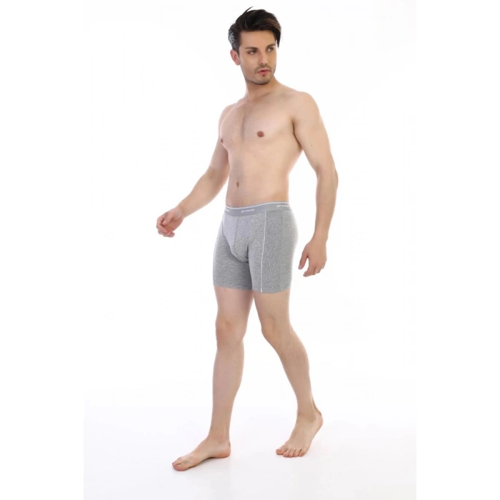 Hubrendy Beru Çift Kaplan 855 Uzun Erkek  Boxer