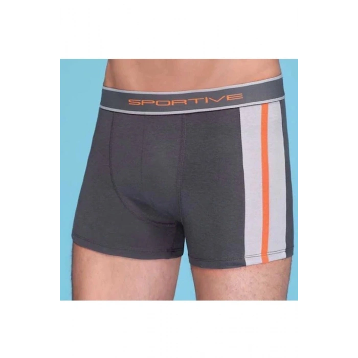Hubrendy Beru Erkek  Modal Boxer 1080