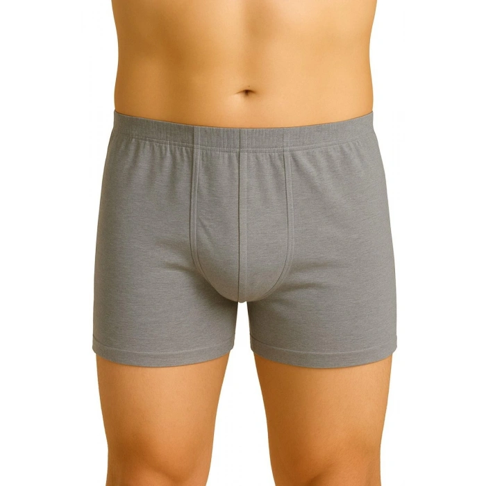 Hubrendy Beru Gri  6810 Arjantin Erkek Boxer
