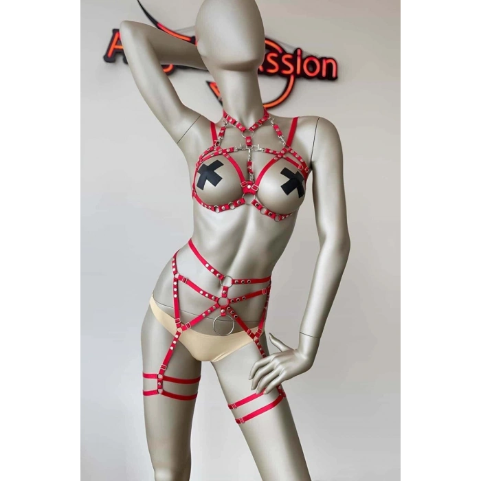 Hubrendy Beru Kırmızı Seksi Elastik Jartiyer Harness Takım