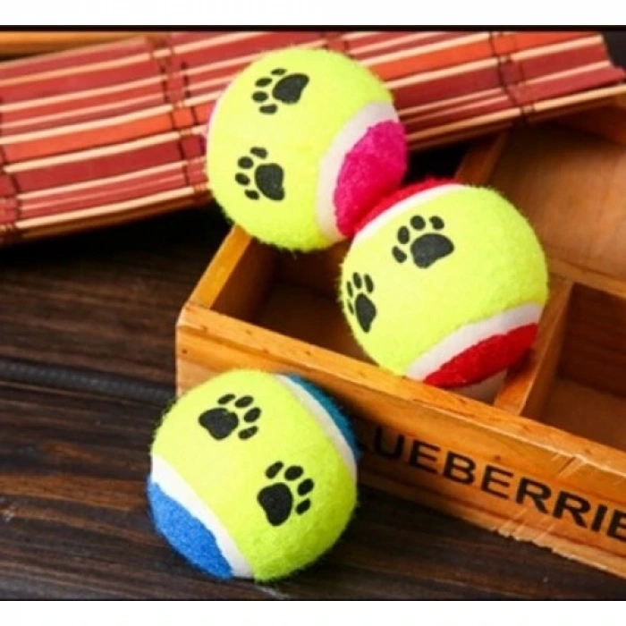 Hubrendy ÇER At Getir Köpek Eğitim Topu