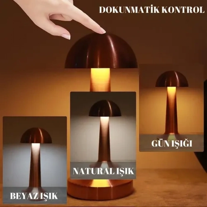 Hubrendy Emin Dekoratif Led Masa Lambası 3 Renk Modlu