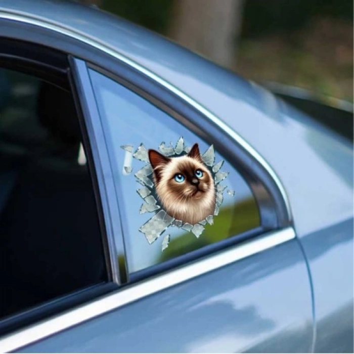 Hubrendy Emin Fulcar Siamesse Araç Stickerı
