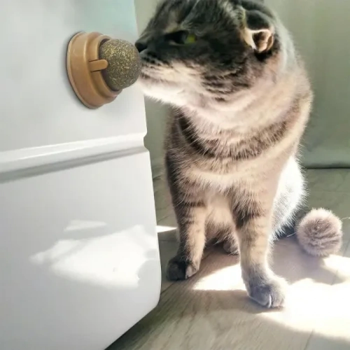 Hubrendy Emin Kedi Nanesi Oyun Topu