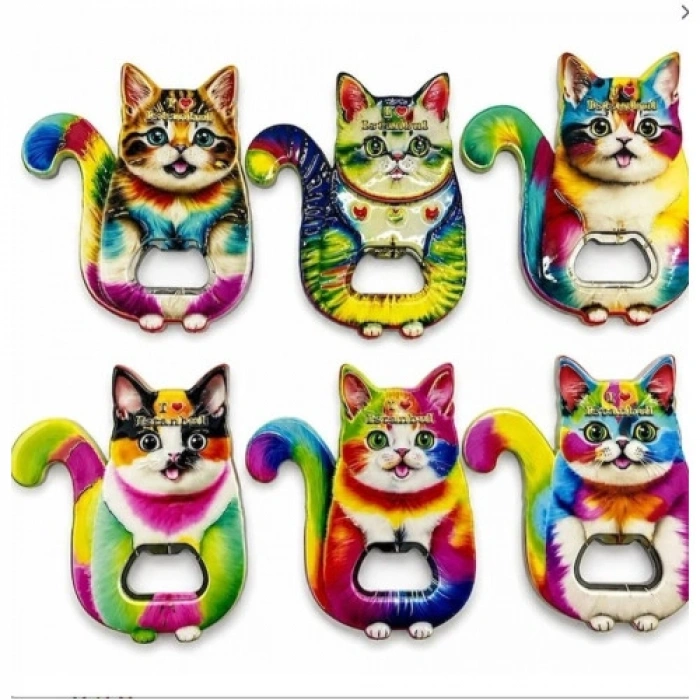 Hubrendy Emin Kedi Tasarımı İstanbul Temalı Buzdolapı Süsü Magnet