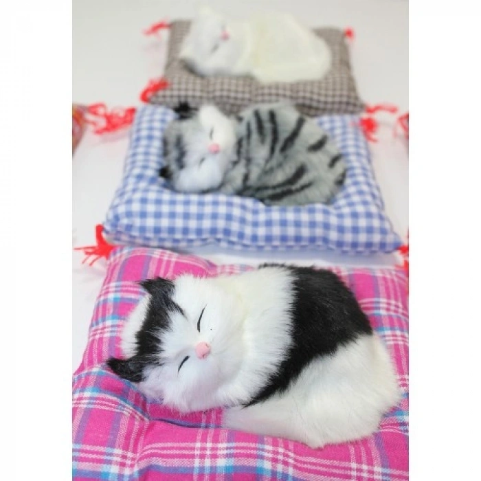 Hubrendy Emin Yastıkta Uyuyan Kedi Sesli