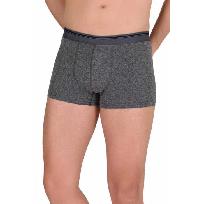 Hubrendy Tedarik Likralı Erkek Boxer Şort Füme 1097B