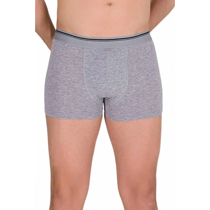 Hubrendy Tedarik Likralı Erkek Boxer Şort Gri 1097B