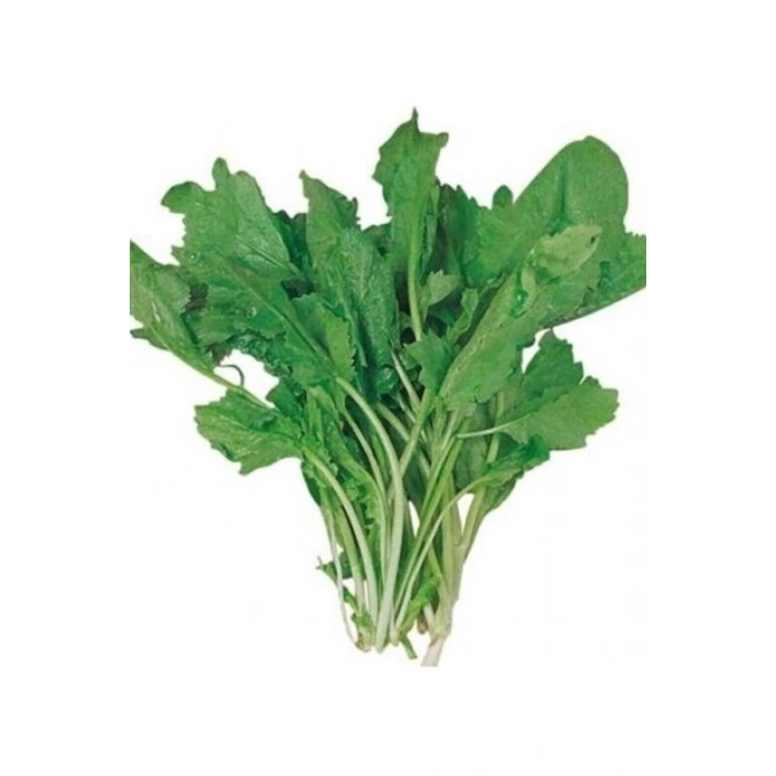 Hubrendy Tedarik Tere Tohumu 10 Gr