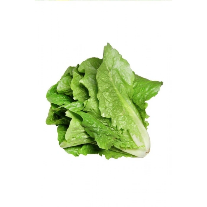 Hubrendy Tedarik Yedikule Marul Tohumu 10 Gr