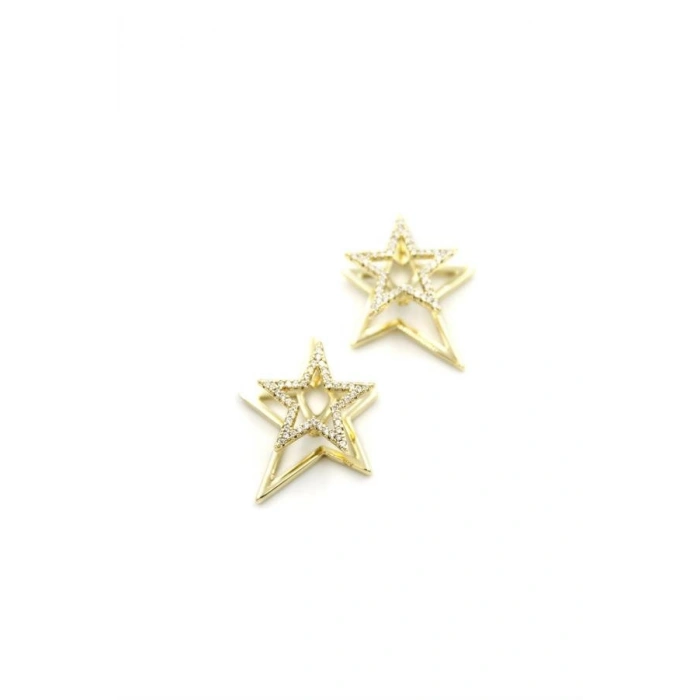 Hubrendy Tedarik Yıldız Küpe - 14K Altın