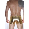 Hubrendy Beru Arkası Fermuarlı Boxer