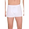 Hubrendy Beru Berrak Erkek  Modal Boxer  4476