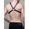 Hubrendy Beru Çapraz Erkek  Göğüs Harness - Brfm43