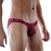 Hubrendy Beru Desenli  Erkek  Slip