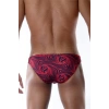Hubrendy Beru Desenli  Erkek  Slip