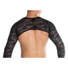 Hubrendy Beru Erkek  Fantezi Dantel Crop