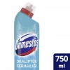 Hubrendy Bez Çamaşır Suyu 750 ML Okaliptus 1 Adet