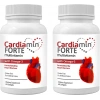 Hubrendy Bez Cardiamin Forte 2 Adet Multivitaminli OMEGA3LÜ 60 Soft Jel Kapsüllü Formül