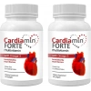 Hubrendy Bez Cardiamin Forte: 2 Adet Multivitaminli OMEGA3LÜ 60 Soft Jel Kapsüllü Formül