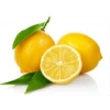 Hubrendy ÇER Limon Bonesi / 100 Adet / Bitki Çayı Bonesi
