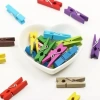 Hubrendy Emin 100lü Renkli Ahşap Mandal Seti 2.5 cm