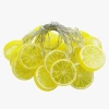 Hubrendy Emin 2m 10 Led Pilli Limon Işık