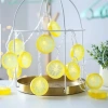 Hubrendy Emin 2m 10 Led Pilli Limon Işık