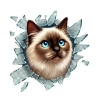 Hubrendy Emin Fulcar Siamesse Araç Stickerı