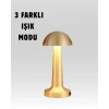Hubrendy Kargo %100 Kademeli Ayarlanabilir Işık – Usb Şarjlı Masa Lambası