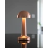 Hubrendy Kargo Mantar Gold