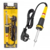 Hubrendy SH Pinsun Ps-s230 30 Watt Kalem Havya