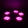 Hubrendy SH Powermaster 12 Volt 3 Watt Pembe Yanıp Sönen 6565-2835 Modül Led